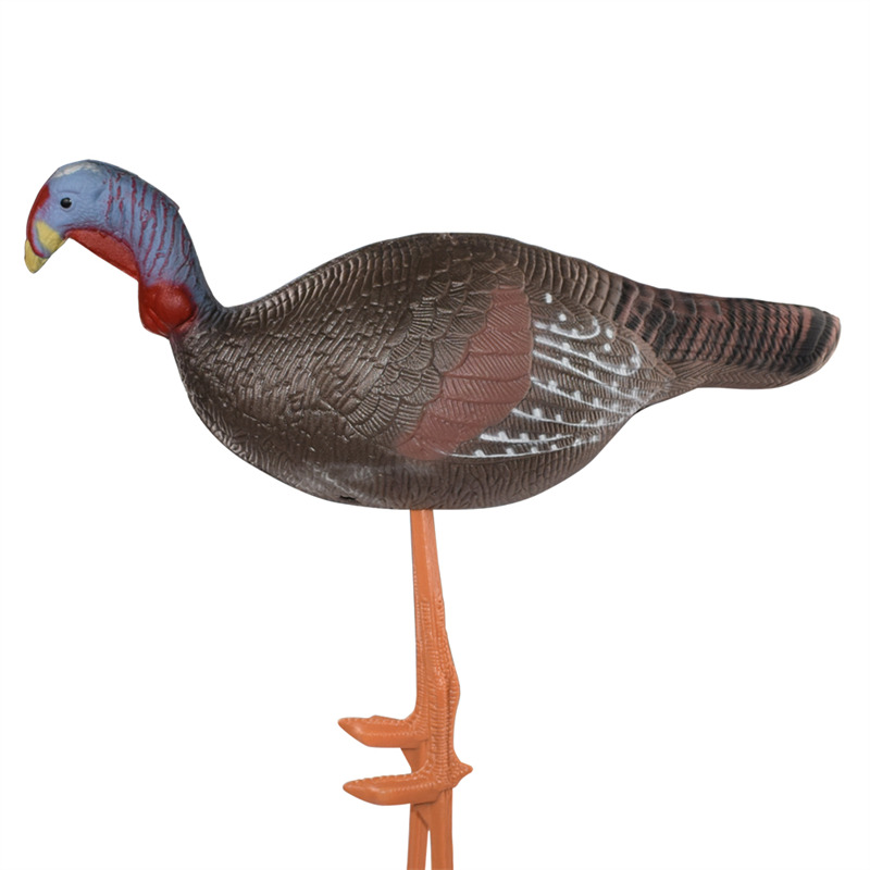 1631673725.jpg 41T3D2 公鸡 (1).jpg